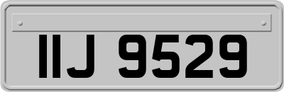 IIJ9529