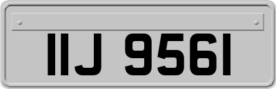 IIJ9561