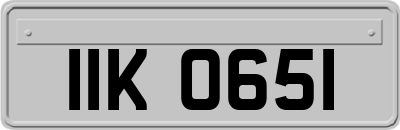 IIK0651
