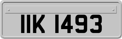 IIK1493
