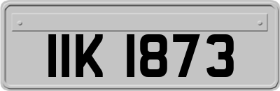 IIK1873