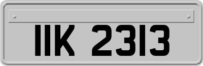 IIK2313