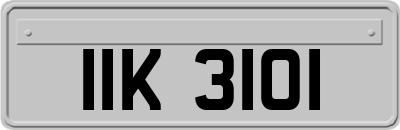 IIK3101