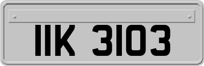 IIK3103