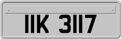 IIK3117