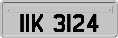 IIK3124