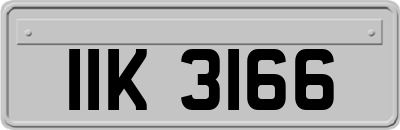 IIK3166