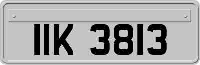 IIK3813
