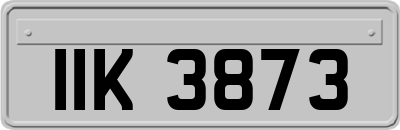 IIK3873