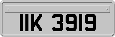 IIK3919