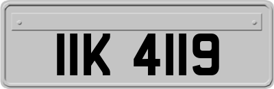IIK4119