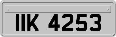 IIK4253