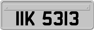 IIK5313