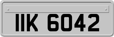 IIK6042