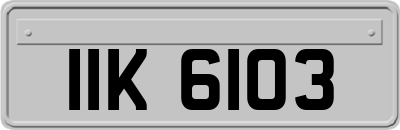IIK6103