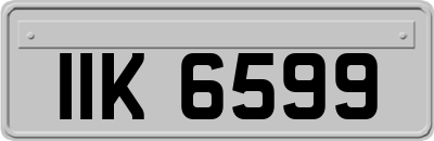 IIK6599