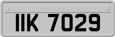 IIK7029