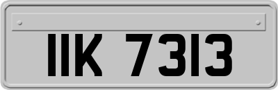 IIK7313