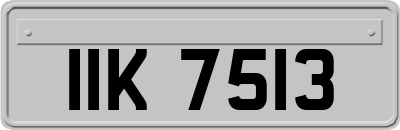 IIK7513