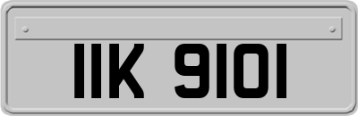 IIK9101