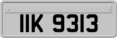 IIK9313