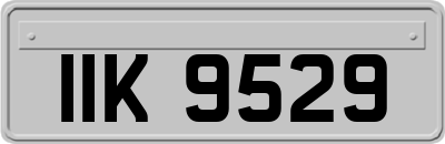 IIK9529