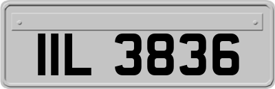 IIL3836