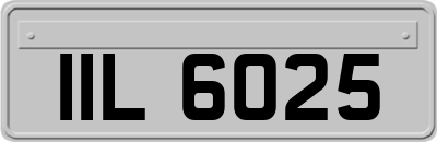 IIL6025
