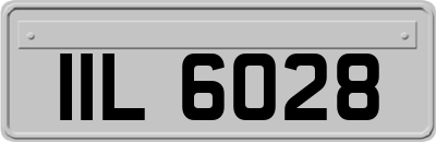 IIL6028