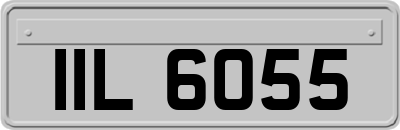 IIL6055