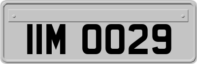 IIM0029