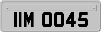 IIM0045