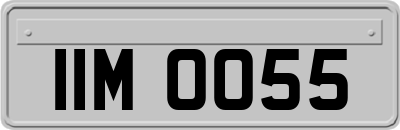 IIM0055