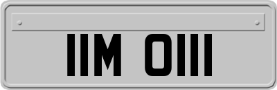 IIM0111