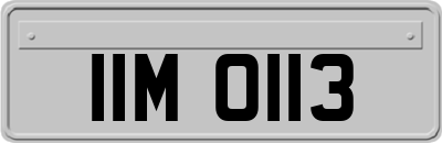 IIM0113