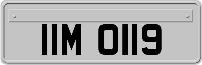 IIM0119