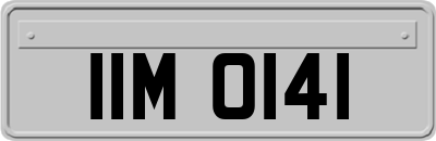 IIM0141