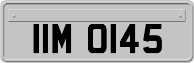 IIM0145