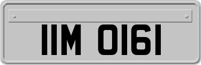 IIM0161