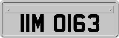 IIM0163