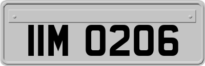 IIM0206