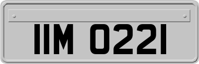 IIM0221