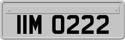 IIM0222