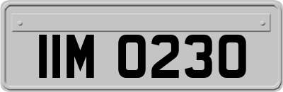 IIM0230