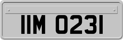 IIM0231