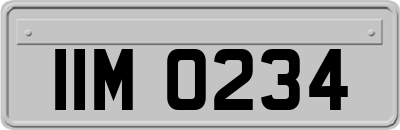 IIM0234
