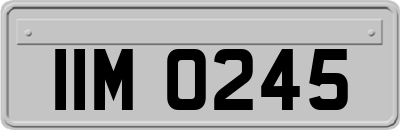 IIM0245