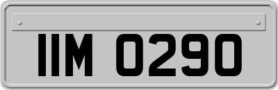 IIM0290