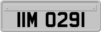 IIM0291