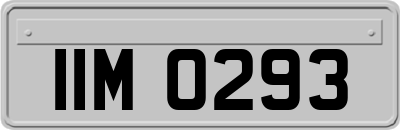 IIM0293